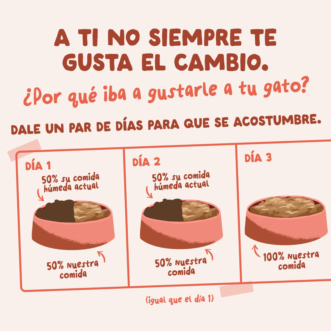 Sobre de Comida Húmeda Trucha & Pollo en Salsa para Gatos Edgard & Cooper 85 g
