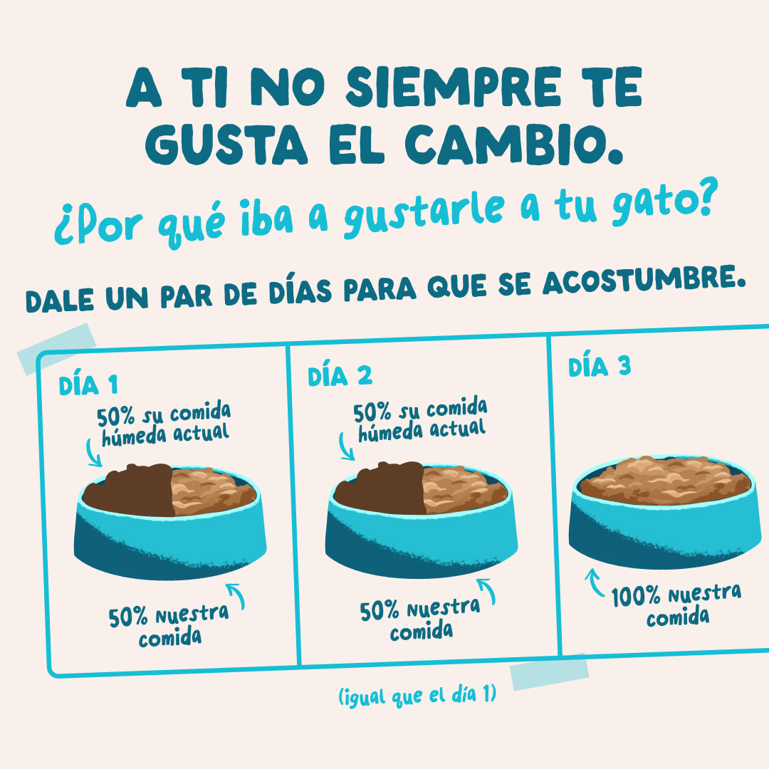 Sobres de comida húmeda Atún & Pollo en Salsa para Gatos Adultos | Edgard & Cooper 85 g