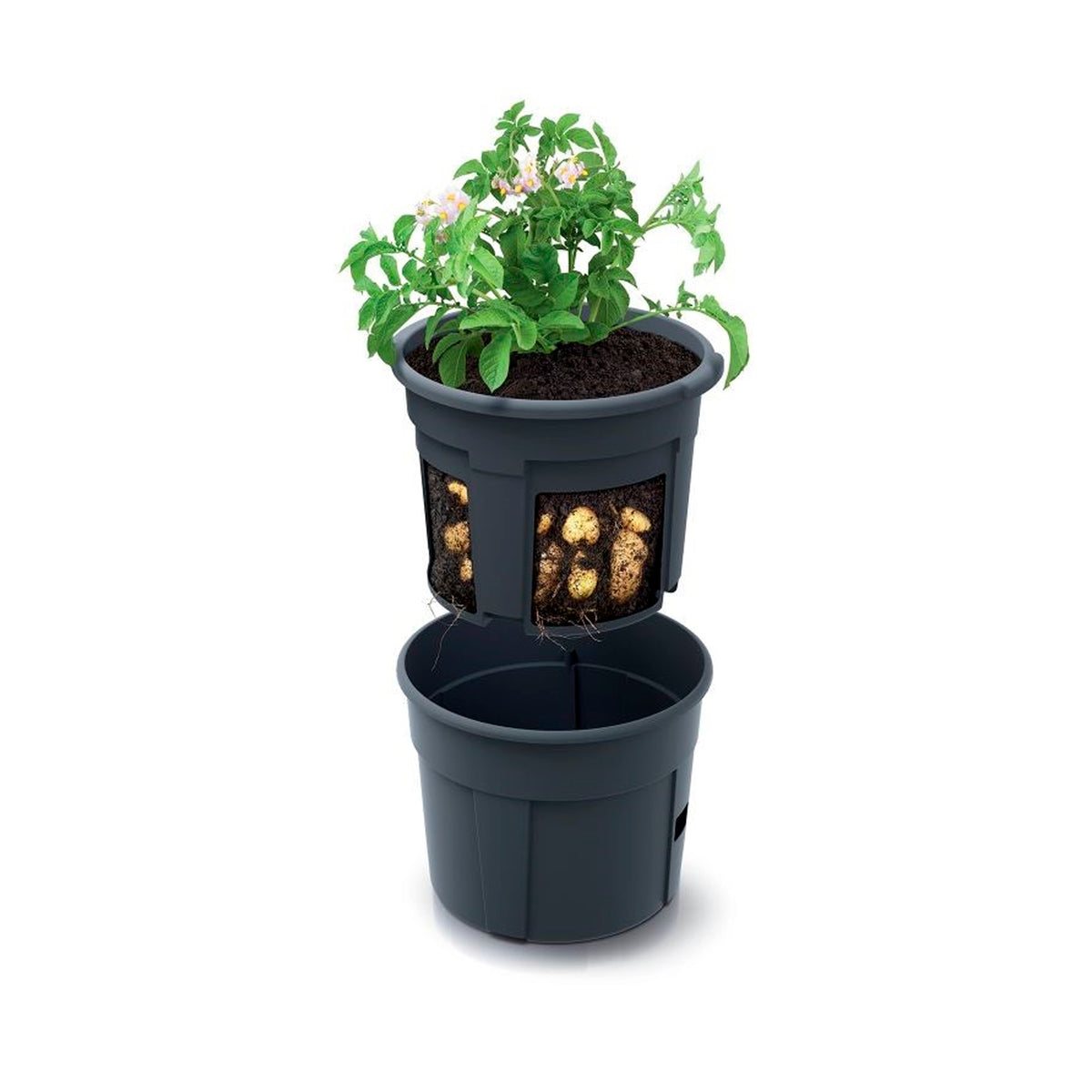 Macetero Para Cultivo De Patatas Prosperplast Potato Grower De Plastico En Color Antracita 39,2 (largo) X 39,2 (ancho) X 31,6 (alto) Cm_1