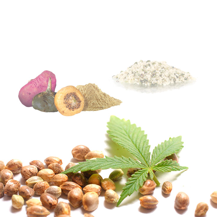 Hemp Macau (cáñamo · Maca · Cacao) Bio - 250g | Cacao Puro Ecológico Vegano Para Repostería Y Bebidas_3