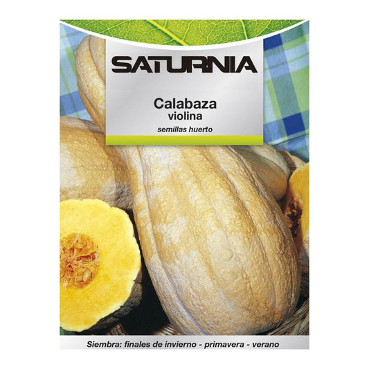 Semillas Huerto Calabaza Violina_0
