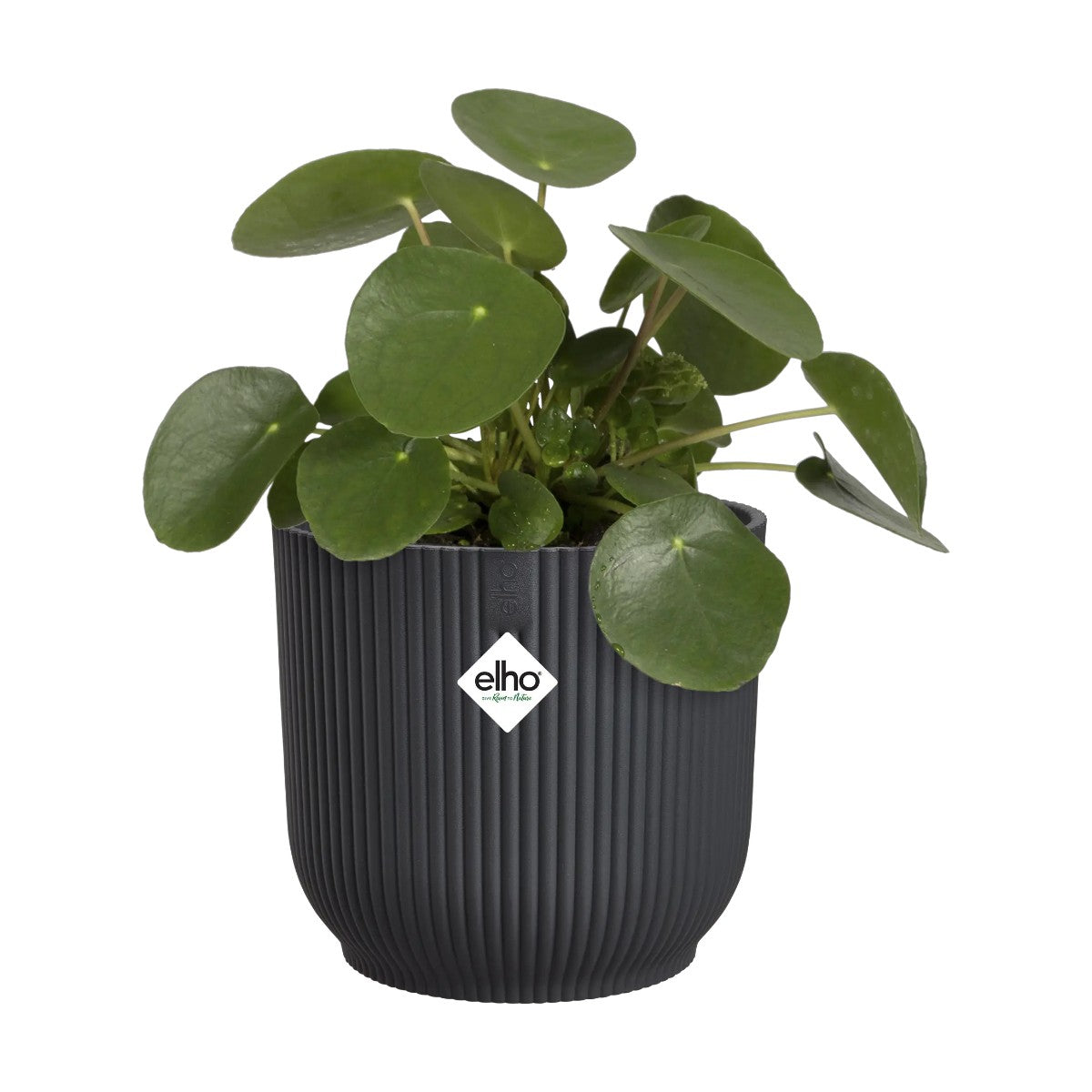 Maceta Antracita Vibes Fold Round Elho 14cm 100% reciclado
