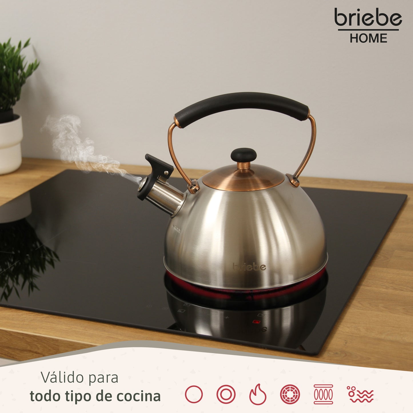 Briebe Tetera Con Silbato, Hervidor De Agua 2,3l, Inducción, Acero Inox, Vintage, Mango Cool Touch, I-bronze_2