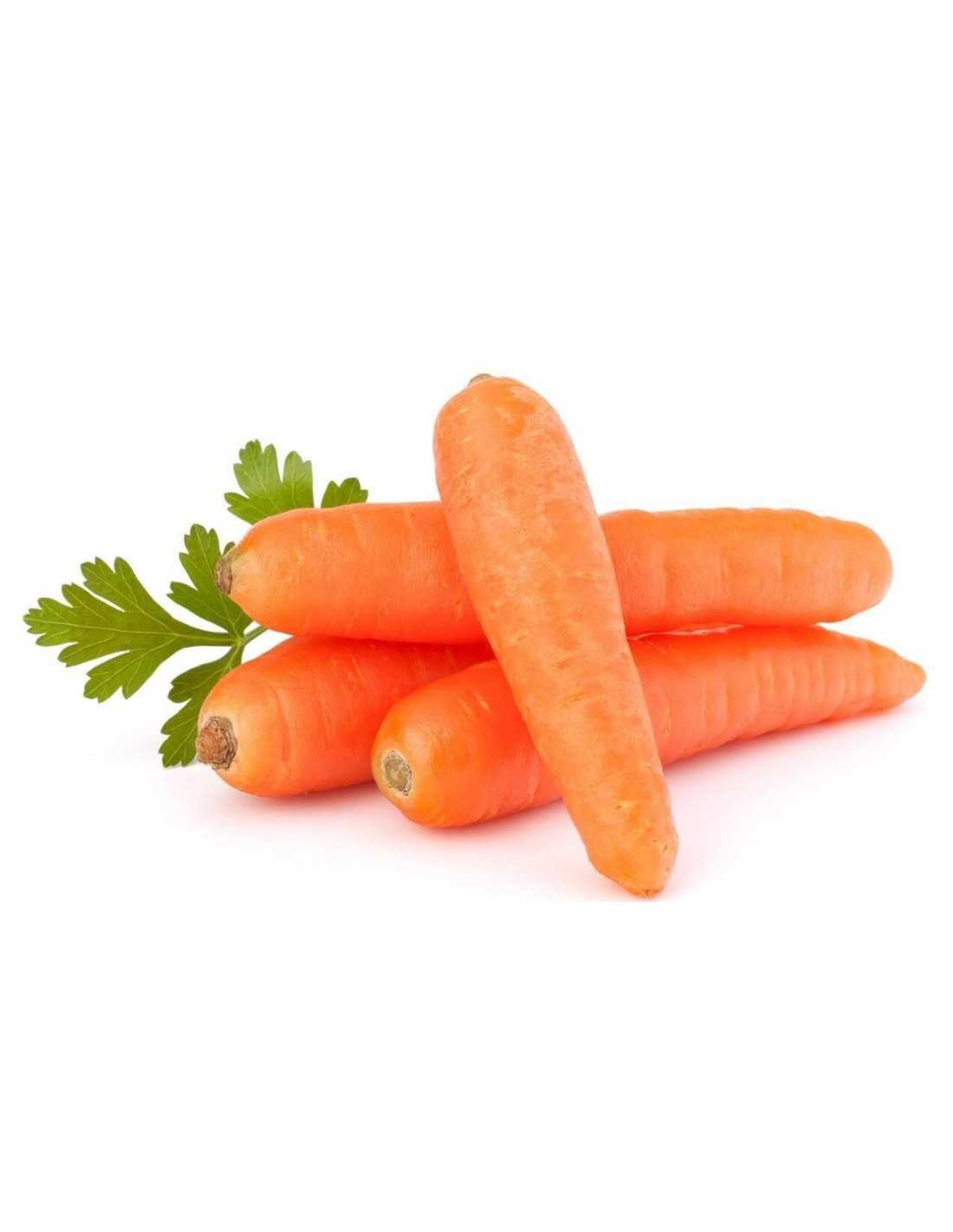 Zanahoria Bio - 1 Kg_0