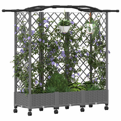 Cama Elevada Con Trellis Y Techo Gris Claro 163 X 40 X 129 Cm_2