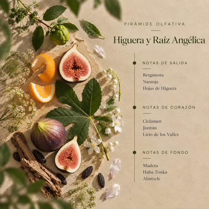 Ambientador Mikado Higuera y Raíz Angélica Botanical SYS Aromas 100 ml | Herbal y Afrutado | Sin Alcohol_4