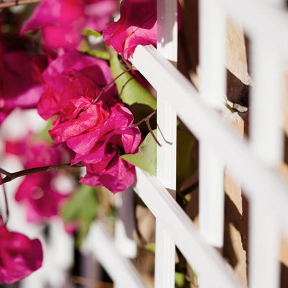 Celosia Pvc 18 Mm 1x2 Blanco Nortene_4