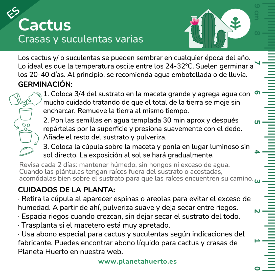 Kit de autocultivo Cactus Planeta Huerto