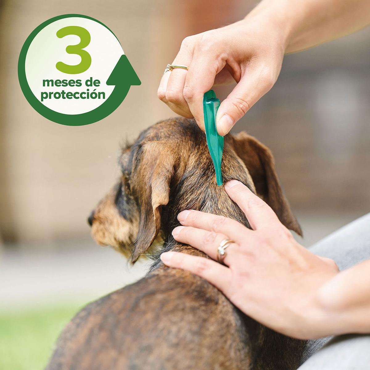 Pipetas repelentes antiparasitarias naturales perro mediano 3x2 ml
