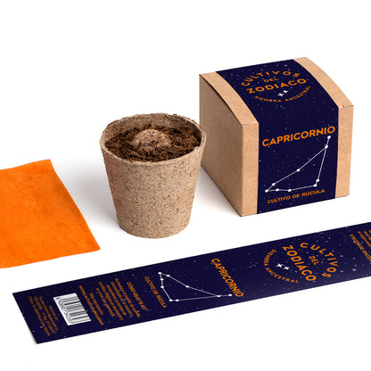 Cultivos del Zodiaco – Capricornio, Kit de Cultivo con Semillas de Rúcula - Resetea_3