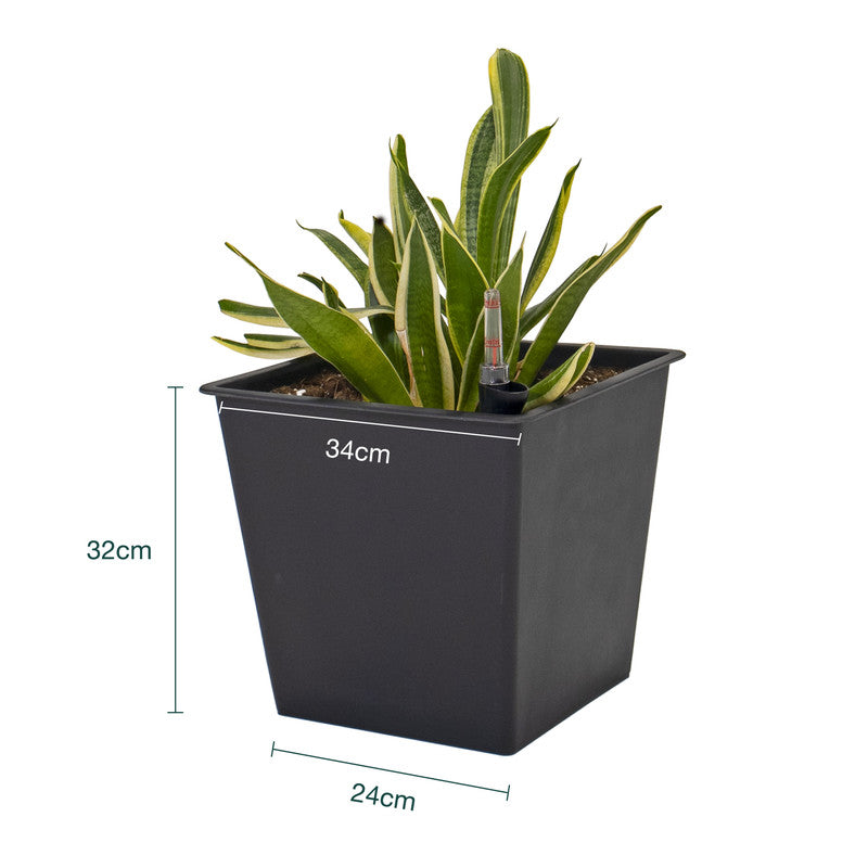 Pack De 3 Macetas Autorriego De Polipropileno Interior Y Exterior Hortalia 36 L 34x34x31 Cm_3