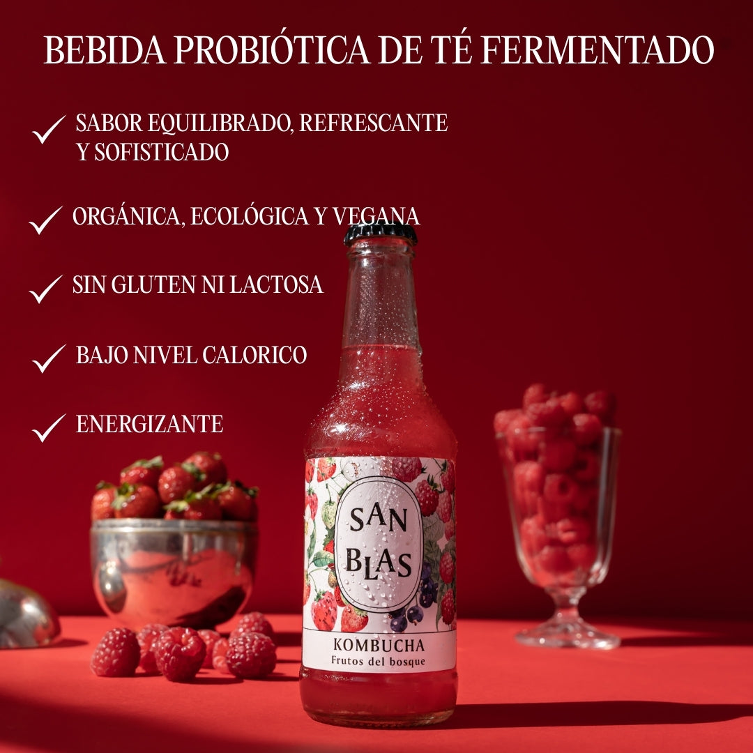 Kombucha Ecologica Sin Azúcar | Pack 12 Botellas X 250 Ml | Artesana Sin Pasteurizar | 4 Sabores_3