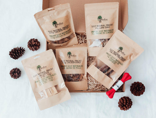 Bimorbox Pequeña · Pack Snacks Y Juguetes Naturales Para Perros._0