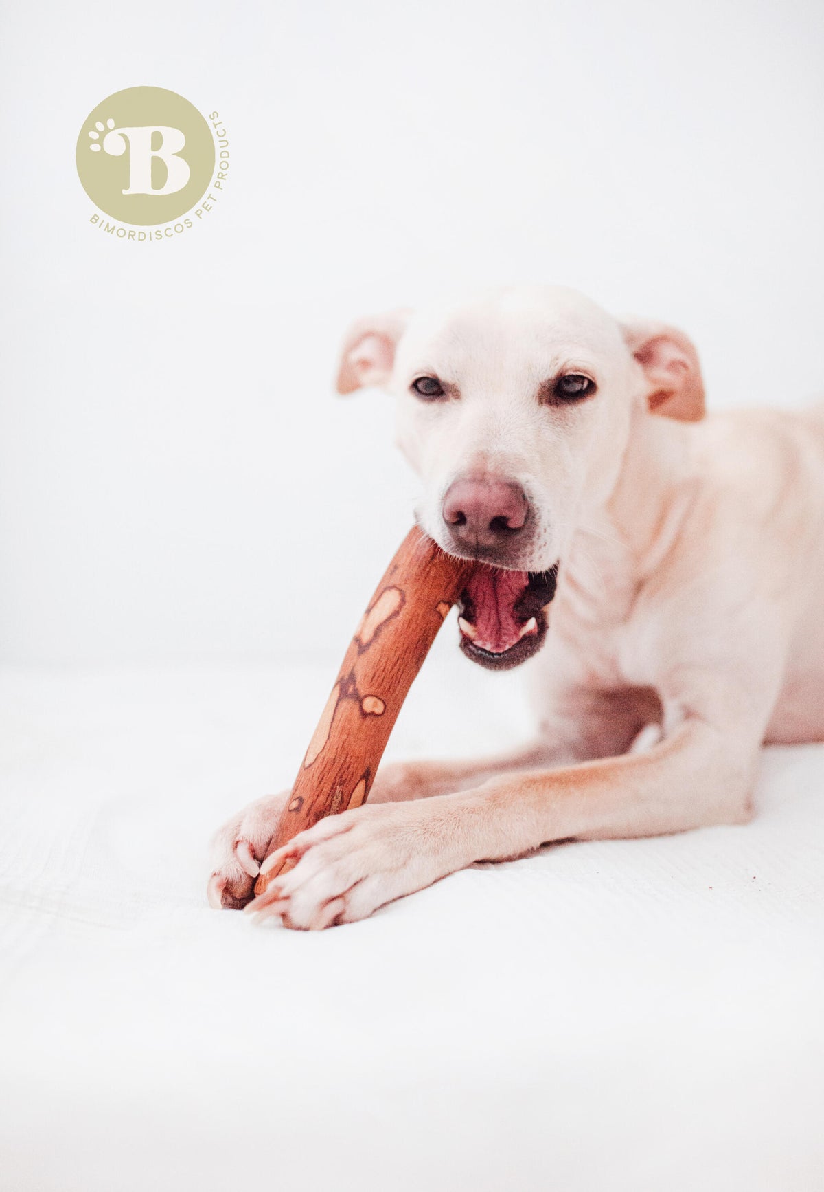 Bimordiscos Palo De Olivo Para Perros Con Aceite De Salmón Pack. 2 X L_1
