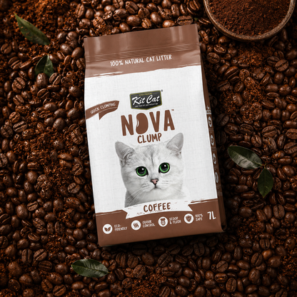 Pack 12 Kit Cat Arena Eco Nova Clump - Coffee 7 L Arena para gatos - Aroma Discreto Café