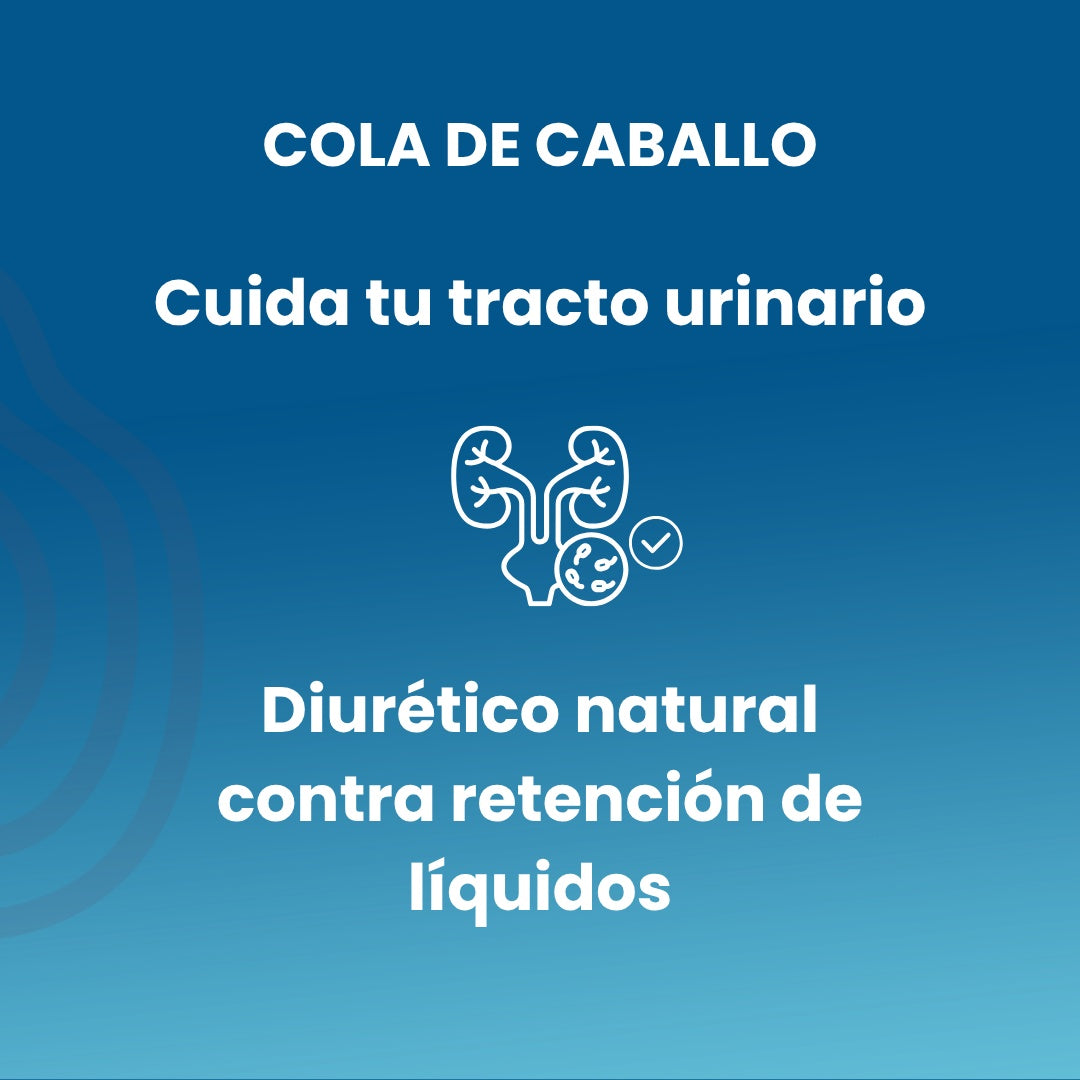 Cola Caballo  Sotya 100 Comp