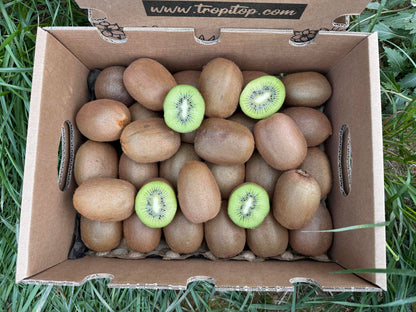 Caja De Kiwis Verde De Temporada Tropitop Caja De 2kg_2