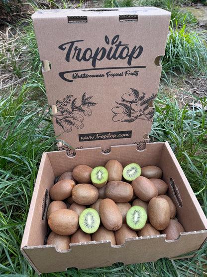 Caja De Kiwis Verde De Temporada Tropitop Caja De 3kg_1