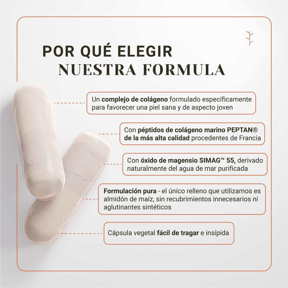 Colágeno Marino Con Ácido Hialurónico Y Magnesio – Hidratación, Antiarrugas Y Piel Firme (120 Cápsulas)_2