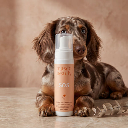 Champú seco para perros en espuma Masco Beauty 200 ml