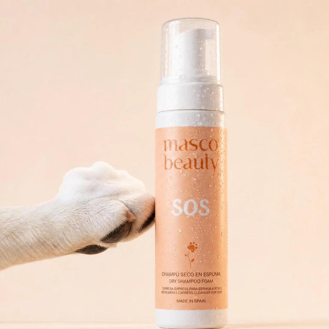 Champú seco para perros en espuma Masco Beauty 200 ml