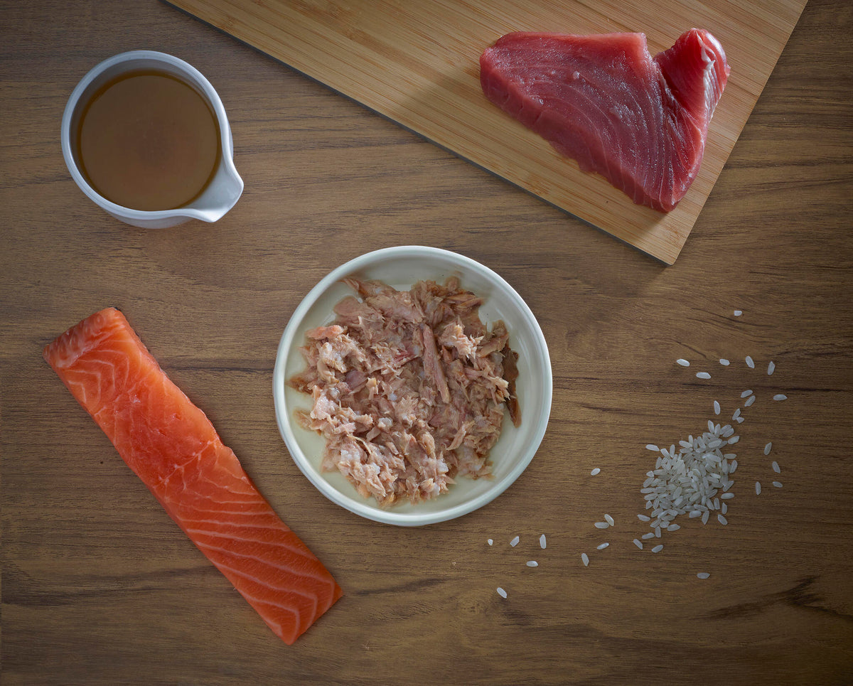 Fish4cats Filete Para Gato – Atún Con Salmón 70 G (pack De 10)_4