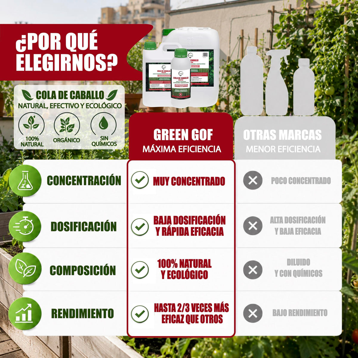 GREEN GOF Cola De Caballo, 1L. Fungicida, Bioestimulante, Orgánico y 100% Natural. Preventivo y Curativo._3
