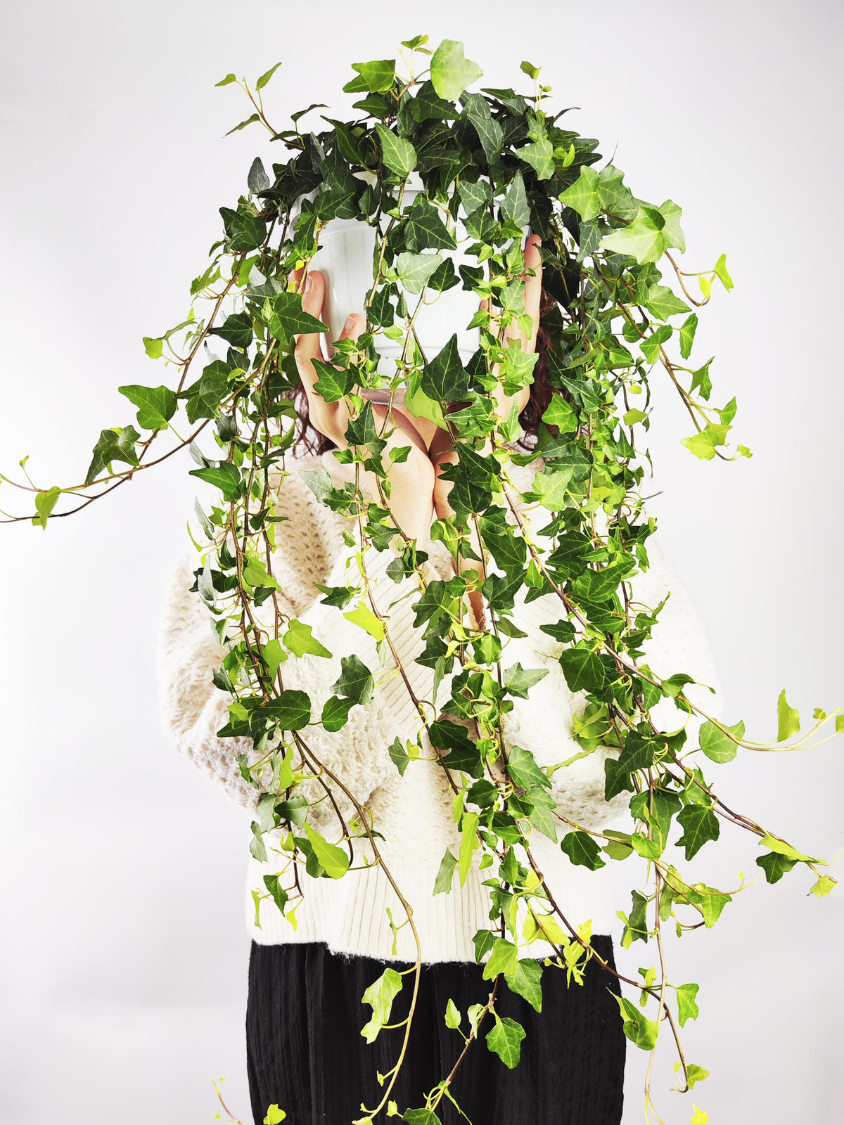 Hiedra O Hedera Colgante | Largo 110cm - Diámetro 24cm_1