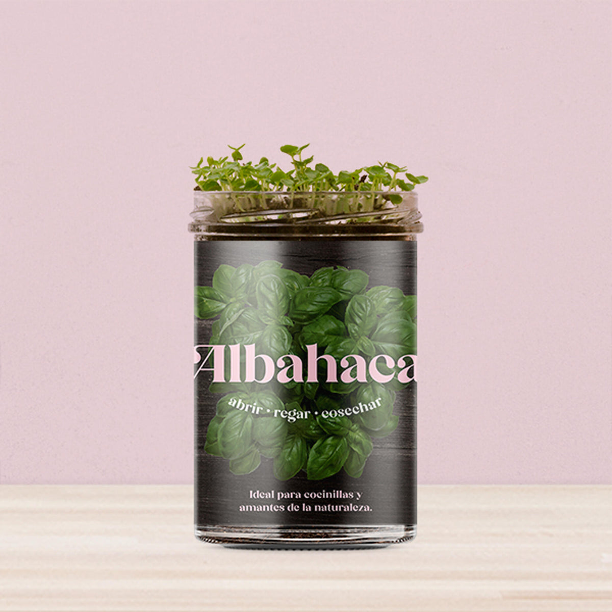 Huerto de Cocina de Albahaca Kit de Cultivo con Semillas, Tarro Reutilizable y Sustrato | Regalo Original - Resetea_2
