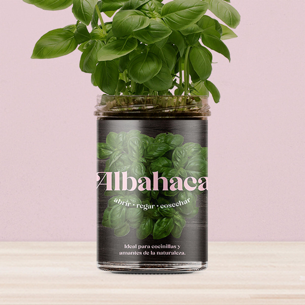 Huerto de Cocina de Albahaca Kit de Cultivo con Semillas, Tarro Reutilizable y Sustrato | Regalo Original - Resetea_3