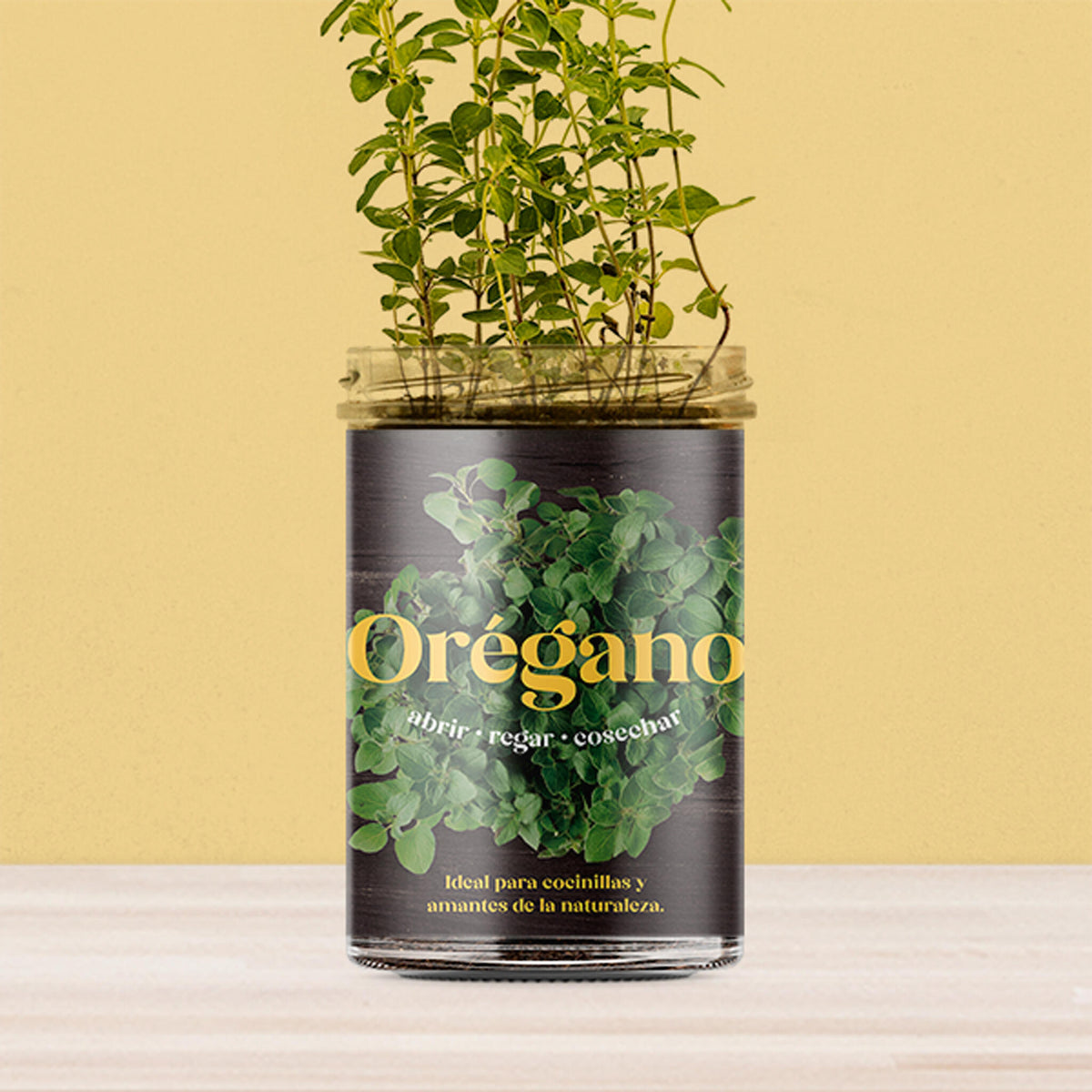 Huerto de Cocina de Orégano Kit de Cultivo con Semillas, Tarro Reutilizable y Sustrato | Regalo Original - Resetea_3