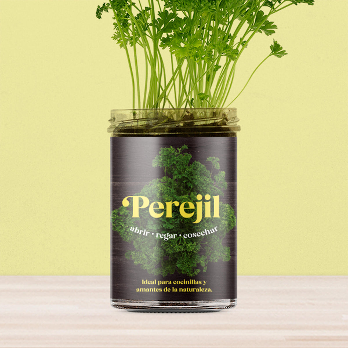 Huerto de Cocina de Perejil Kit de Cultivo con Semillas, Tarro Reutilizable y Sustrato | Regalo Original - Resetea_3