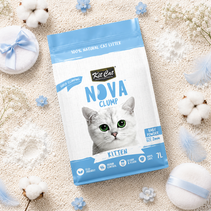 Pack 12 Kit Cat Arena Eco Nova Clump - Kitten Baby Powder 7 L Arena para gatos - Granulado fino Fragancia Suave