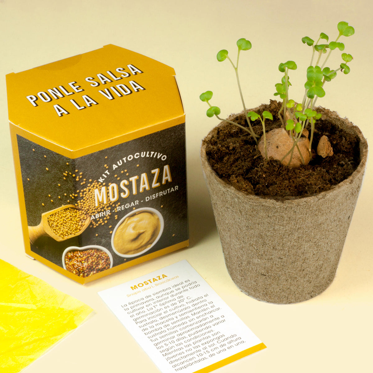 Kit Autocultivo de Mostaza Cultiva tus Propias Semillas en Casa | Fácil y Rápido - Resetea_3