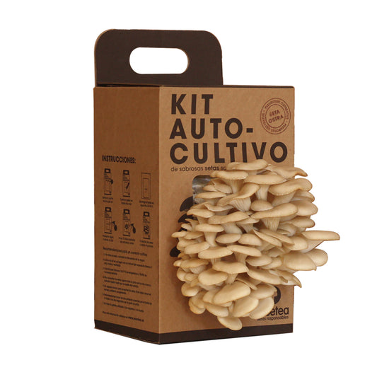 Kit Cultivo de Setas Ostra en Casa – Ingrediente Gourmet, Cultivo Fácil, Regalo Original - Resetea_0
