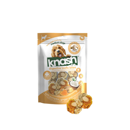Knash Bites Digestive De Calabaza, Jengibre Y Coco 2 Boslas X 100 G_0