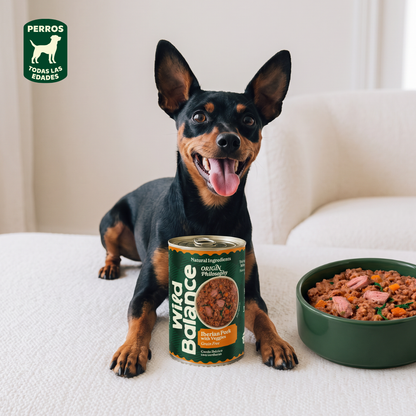 Pack 6x Cerdo y verduras BARF para perros 400 g + Regalos: Tapa reutilizable para latas, Wild Balance