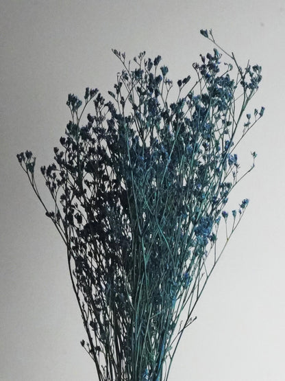 Limonium Preservado_0