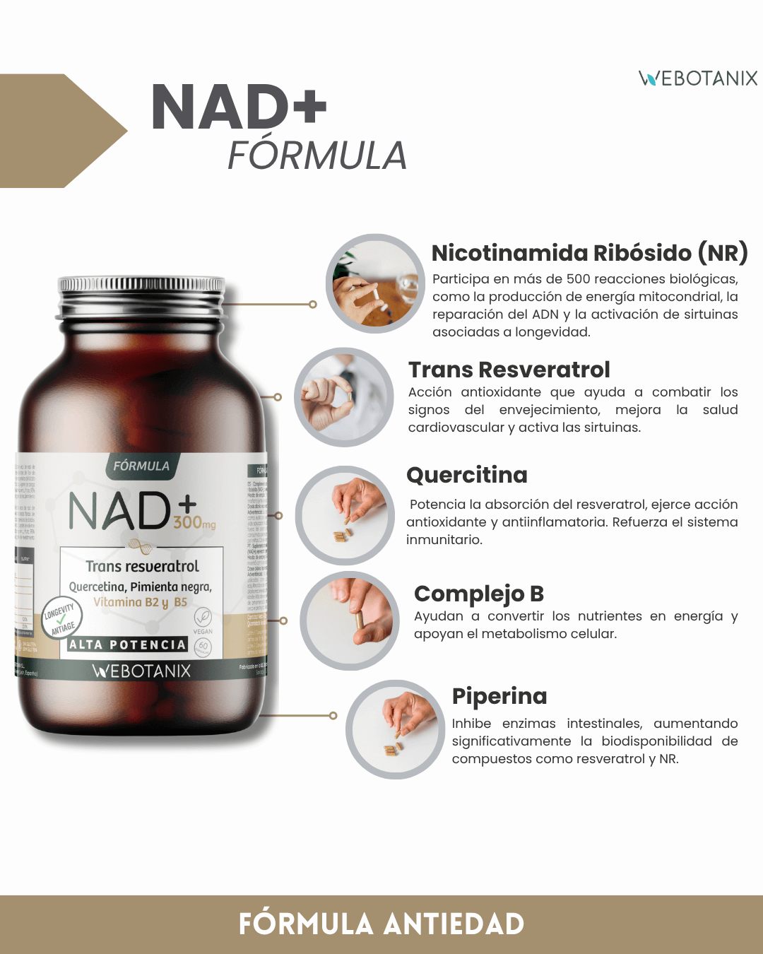NAD+ 300 mg Trans Resveratrol WEBOTANIX 60 cápsulas