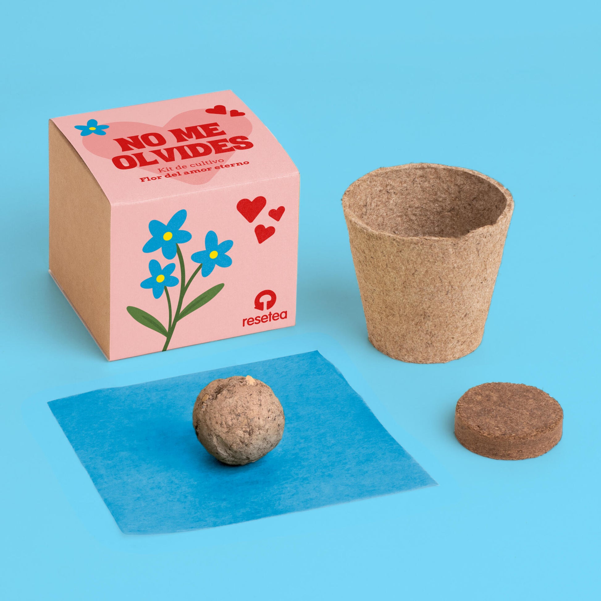 Nomeolvides - Kit de Cultivo con Semillas de Myosotis, Maceta y Sustrato, Regalo Original - Resetea_1