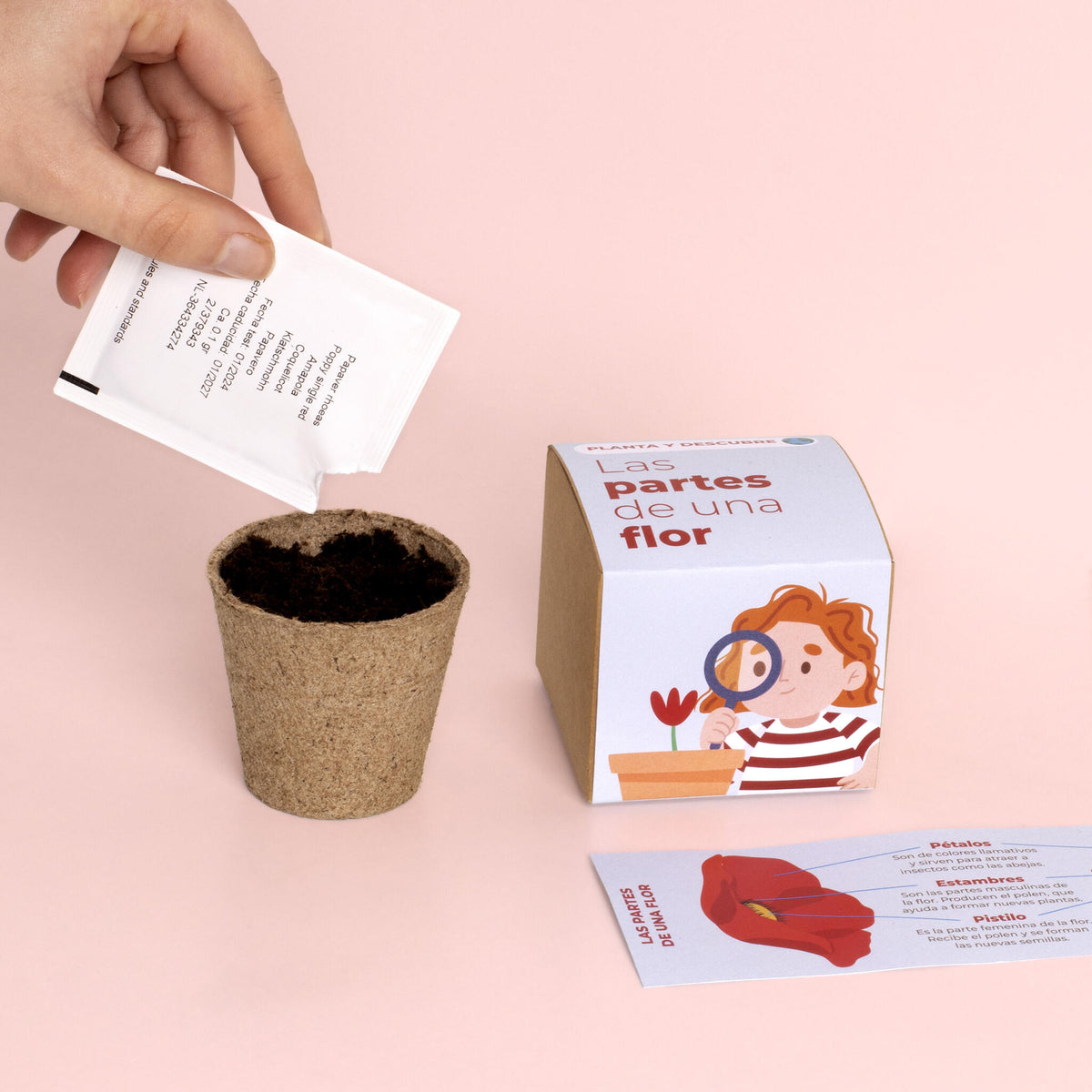Pack 5 Kits de Cultivo Educativos Stem y Montessori | Regalo Didáctico para Niños - Resetea_3