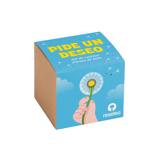 Pide un Deseo – Kit Cultivo Diente de León con Semillas, Maceta y Sustrato, Regalo - Resetea_0