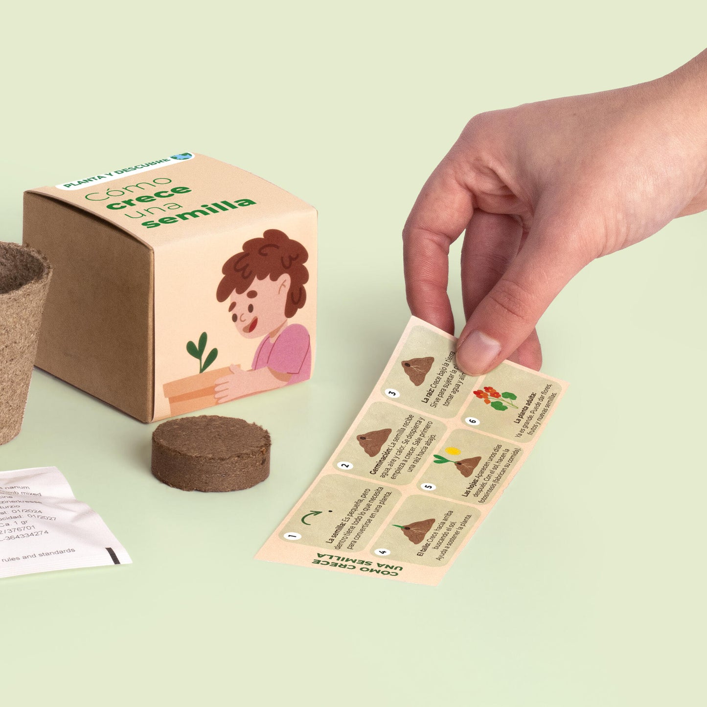 Planta y Descubre – Kit Germinación para Niños, Aprende Cómo Crece una Semilla (STEM) - Resetea_3