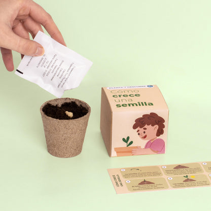 Planta y Descubre – Kit Germinación para Niños, Aprende Cómo Crece una Semilla (STEM) - Resetea_4