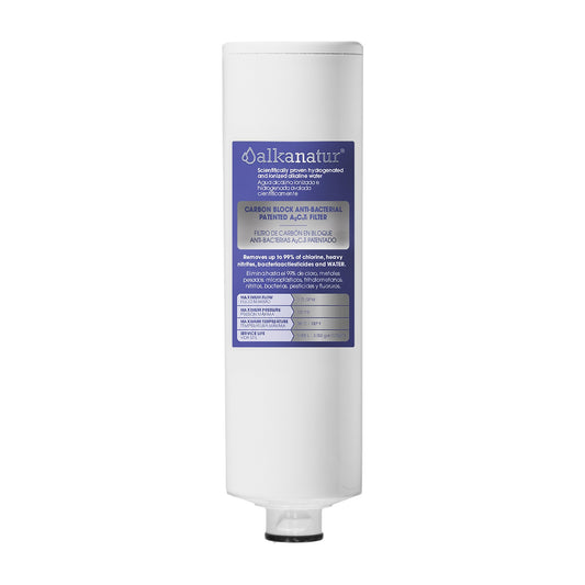 Recambio filtro Depurador Carbón Alkanatur