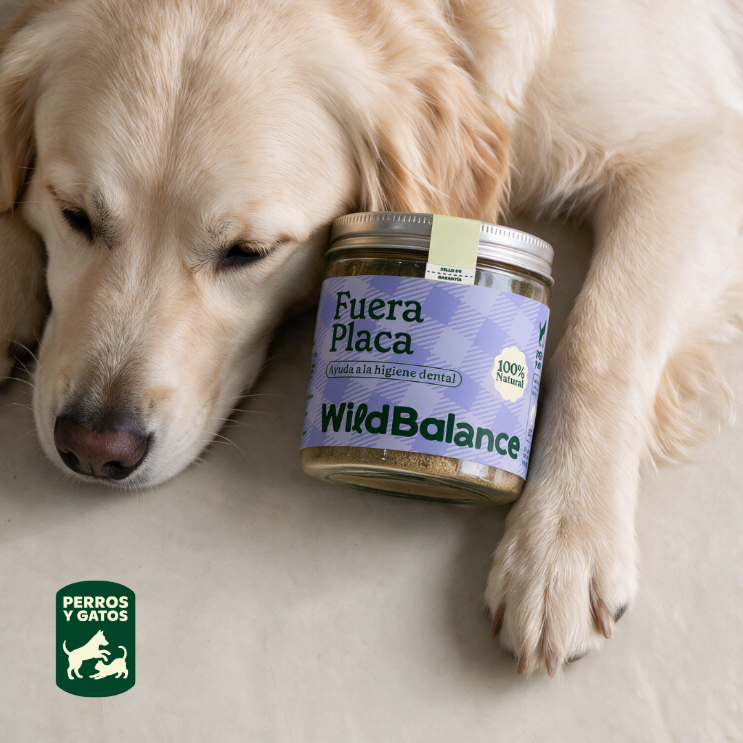 Fuera Placa Suplemento para mascotas Wild Balance 100 g