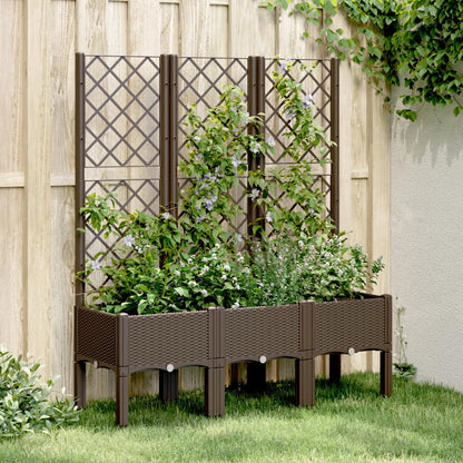 Jardinera Con Enrejado Pp Marrón 120x40x142 Cm_1