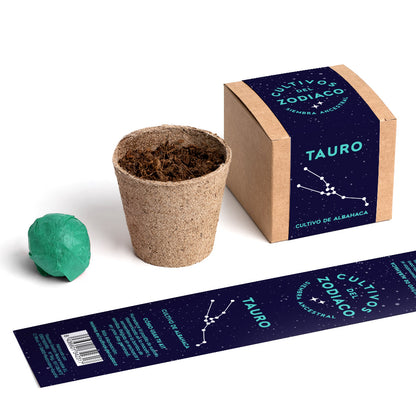 Cultivos del Zodiaco – Tauro, Kit de Cultivo con Semillas de Albahaca - Resetea_2