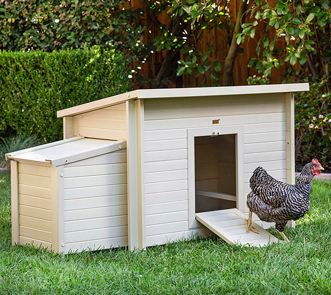 Gallinero Dallas Para Exterior - Capacidad 4-6 Gallinas - Ecoflex Material Sostenible Y Duradero. Fácil Montaje._2