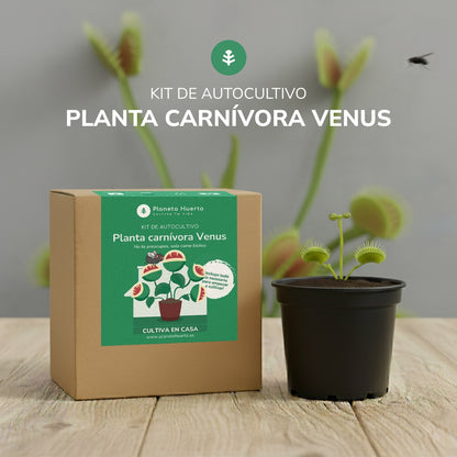 Kit de autocultivo Planta carnívora Venus atrapamoscas Planeta Huerto